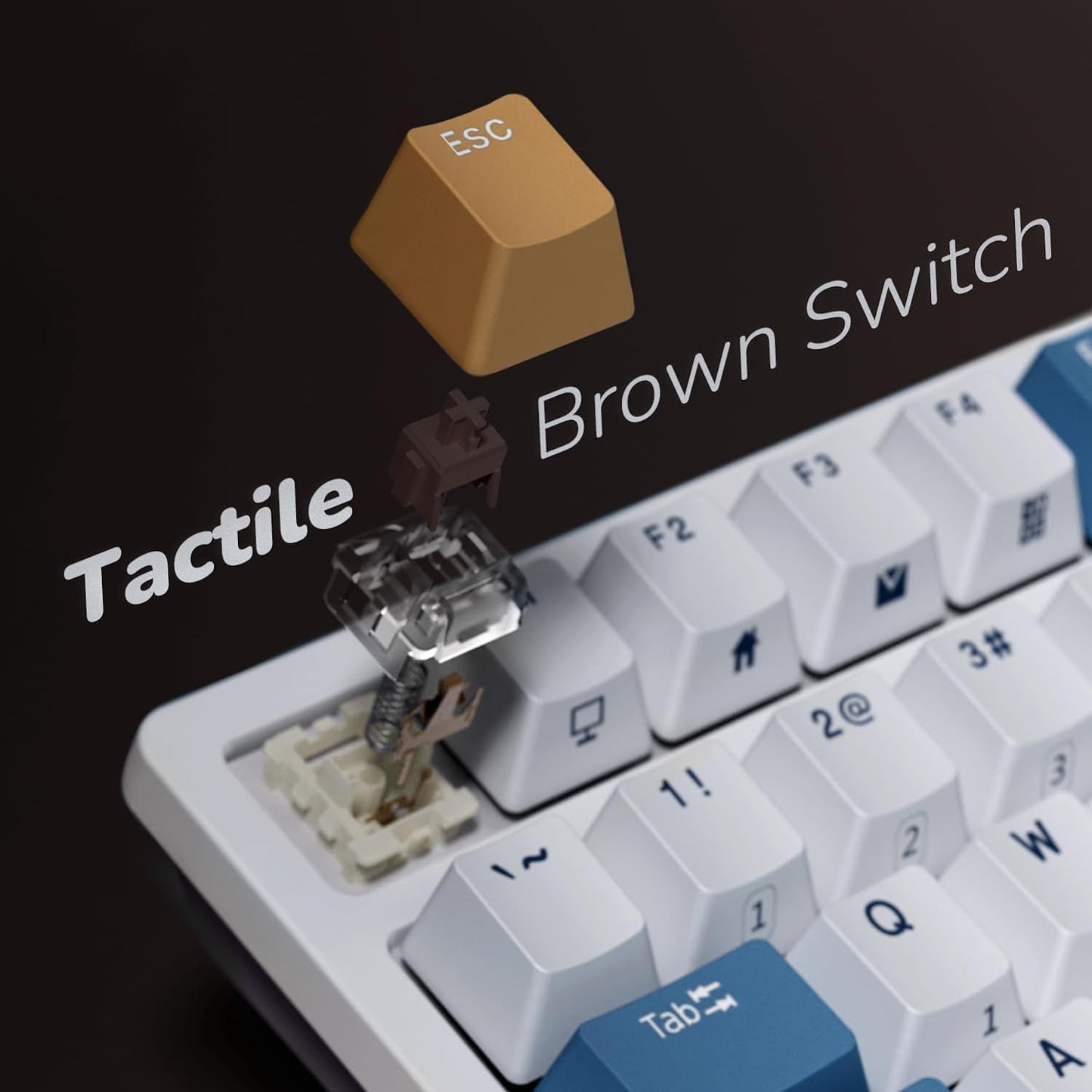 RK98 Wireless Mechanical Keyboard, Tri-Mode 2.4G/BT5.1/USB-C Hot Swappable Full Size Keyboard, RGB Backlit Gaming Keyboard, Massive Battery Software Support, Brown Switch