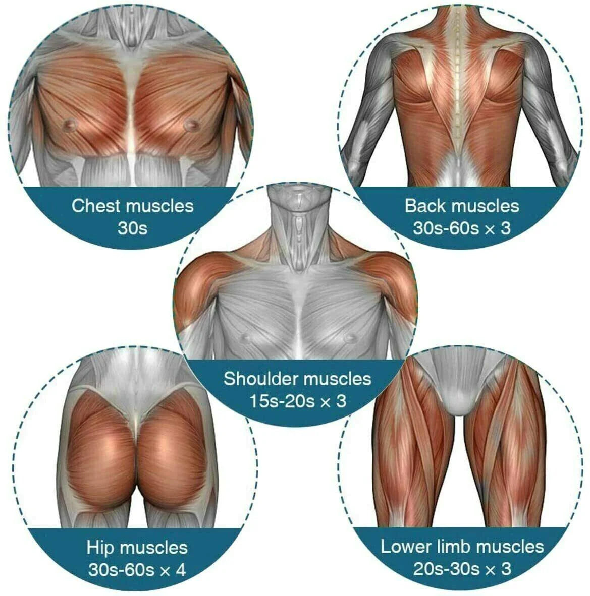 Massage Gun Percussion