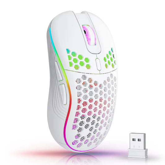 2.4G Wireless Mouse with RGB